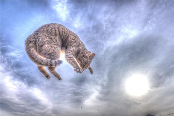What does it mean to dream of stepping into an empty space? What does it mean to dream of stepping into an empty space?