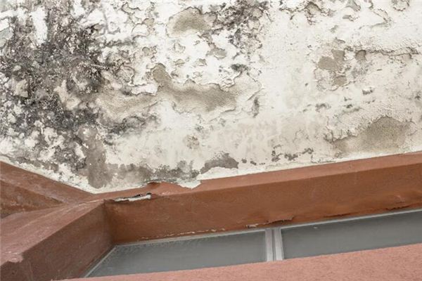 What does it mean to dream of a leaky house? What does it mean to dream of a leaky house?