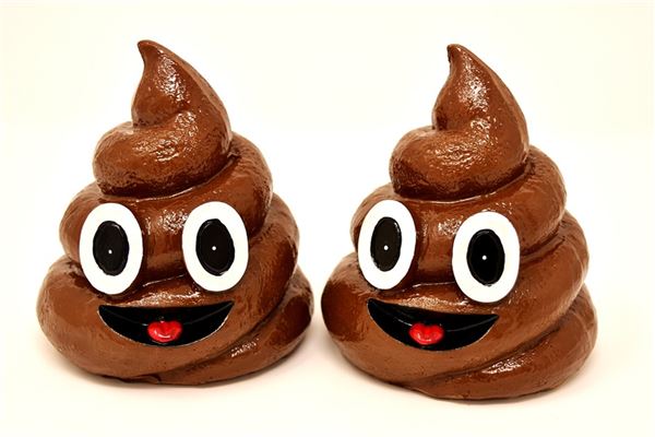 What does it mean to dream about pooping? What does it mean to dream about pooping?