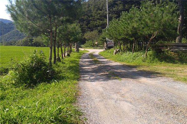 What does it mean to dream of a broken road?