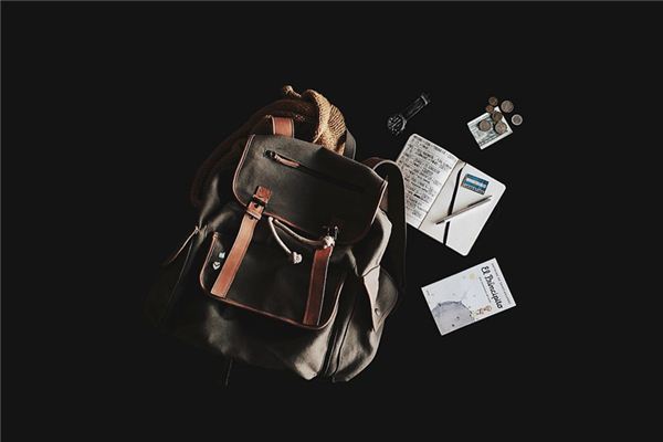 What does it mean to dream of a travel bag? What does it mean to dream of a travel bag?