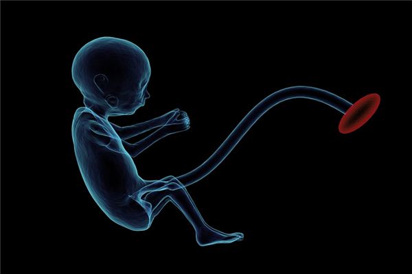 What does it mean to dream of a stillborn child? What does it mean to dream of a stillborn child?