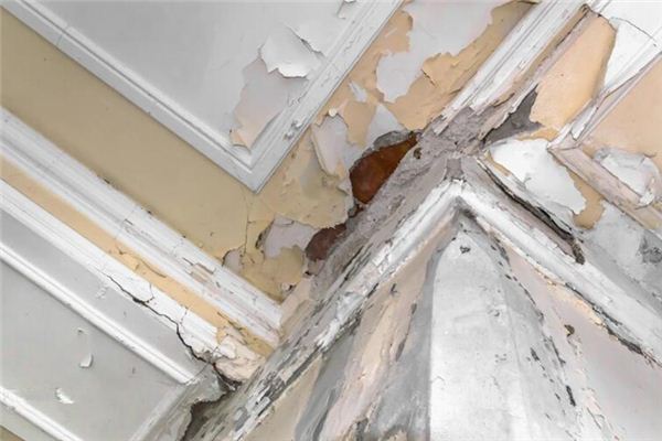 What does it mean to dream of your house leaking water? What does it mean to dream of your house leaking water?