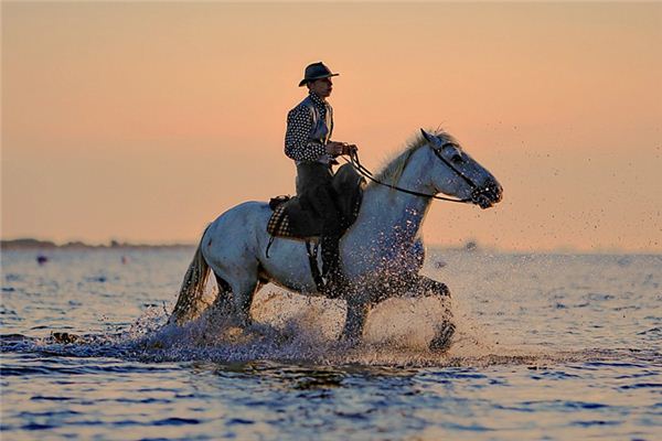 What does it mean to dream of riding a horse across the sea? What does it mean to dream of riding a horse across the sea?