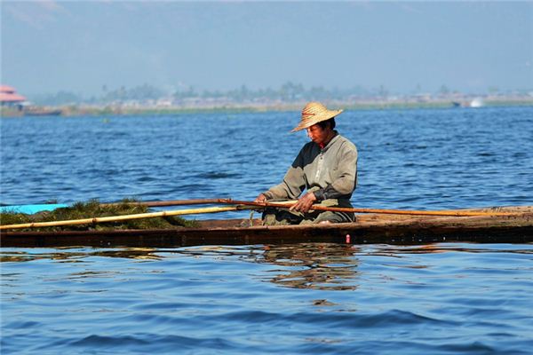 What does it mean to dream of paddling a bamboo raft? What does it mean to dream of paddling a bamboo raft?
