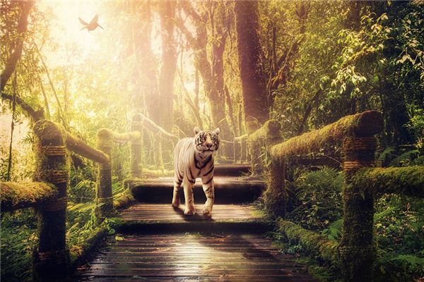What does it mean to dream of fighting a tiger? What does it mean to dream of fighting a tiger?