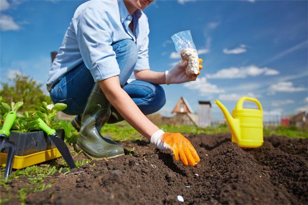 I dreamed of working in the fields.