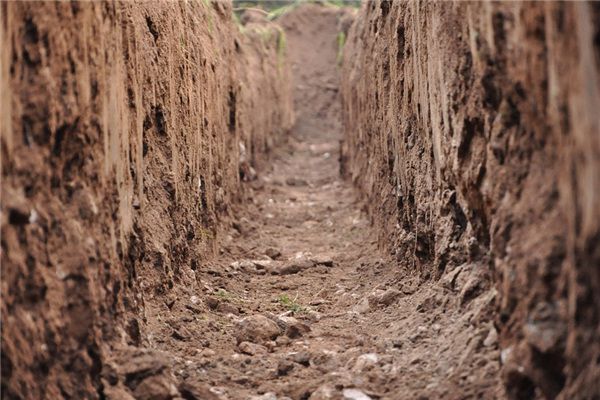 I dreamed that I was digging a ditch