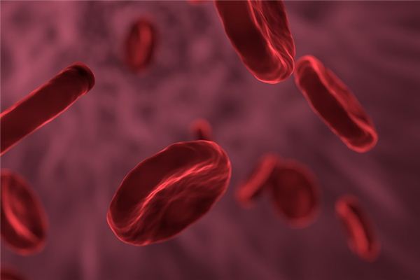 What does it mean to dream of coughing up blood? What does it mean to dream of coughing up blood?