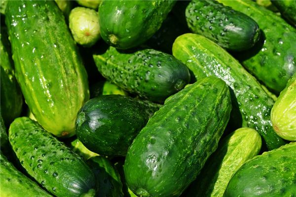 What does it mean to dream of eating cucumbers? What does it mean to dream of eating cucumbers?