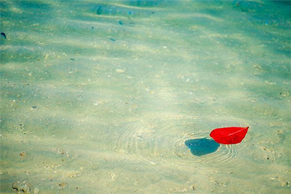 What does it mean to dream of floating in water? What does it mean to dream of floating in water?