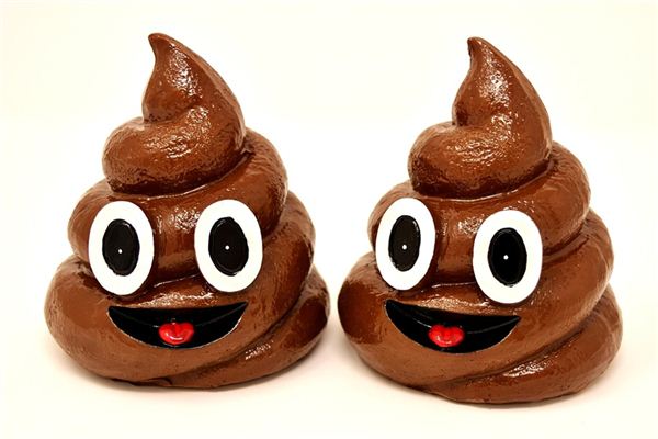 What does it mean to dream of eating feces?
