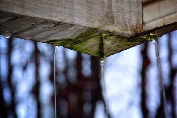 What does it mean to dream of a leaky house? What does it mean to dream of a leaky house?
