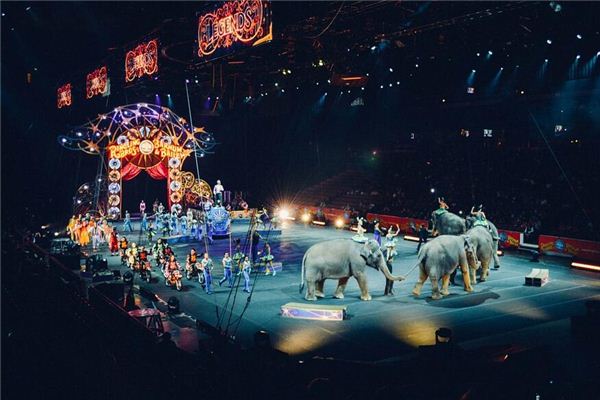 Dreaming of a circus performance