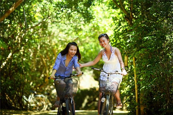 What does it mean to dream of being hit by a bicycle? What does it mean to dream of being hit by a bicycle?