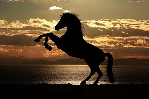 What does it mean to dream of riding a black horse? What does it mean to dream of riding a black horse?