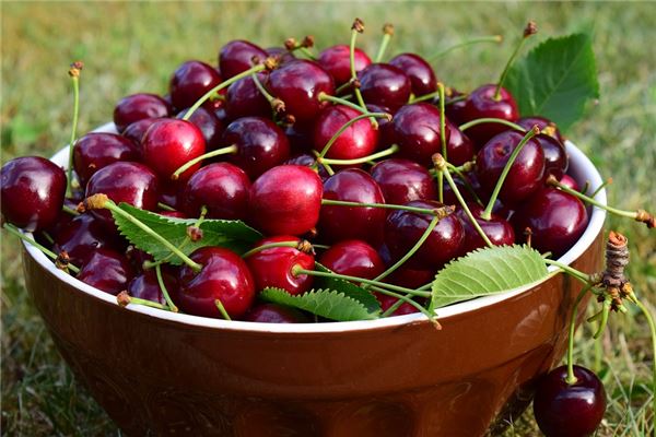 What does it mean to dream of a bountiful harvest? What does it mean to dream of a bountiful harvest?