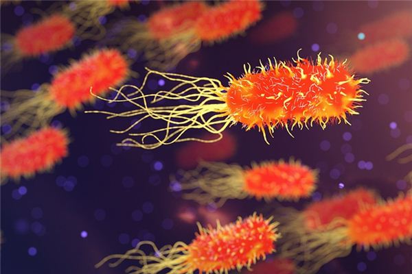What does it mean to dream of scarlet fever? What does it mean to dream of scarlet fever?