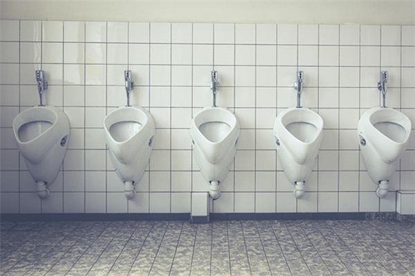What does it mean to dream of fighting over a toilet? What does it mean to dream of fighting over a toilet?