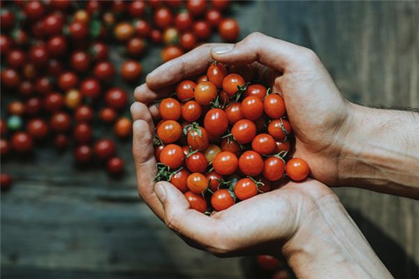 What does it mean to dream of harvest? What does it mean to dream of harvest?