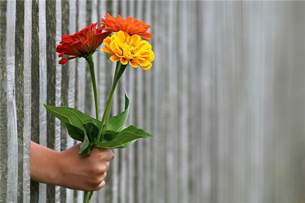 What does it mean to dream of being rejected after confessing your love? What does it mean to dream of being rejected after confessing your love?