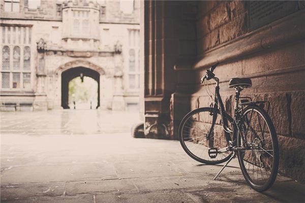 What does it mean to dream of losing a bicycle? What does it mean to dream of losing a bicycle?
