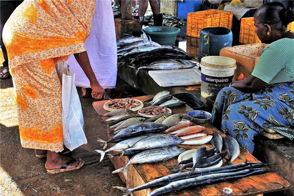 What does it mean to dream of selling fish? What does it mean to dream of selling fish?