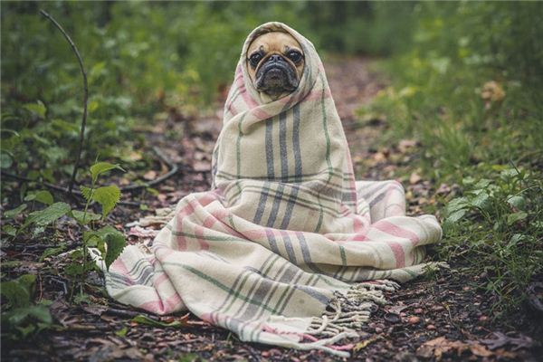 What does it mean to dream of warmth? What does it mean to dream of warmth?