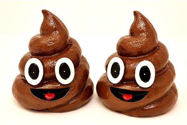 What does it mean to dream of eating feces? What does it mean to dream of eating feces?