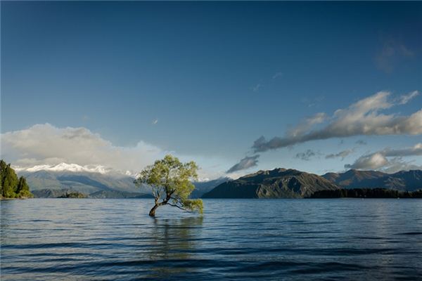 Dreaming of being flooded Dreaming of being flooded