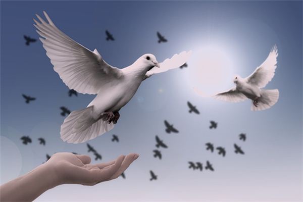 What does it mean to dream of peace? What does it mean to dream of peace?