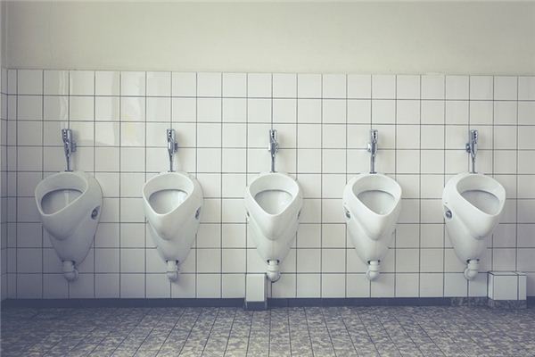 What does it mean to dream about going to the toilet?