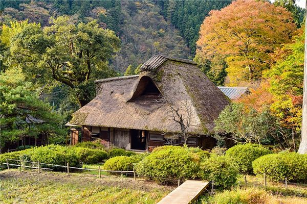 I dreamt that my thatched hut was blown away by a strong wind.