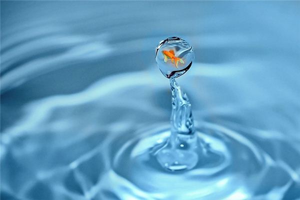 What does it mean to dream of fish falling from the sky? What does it mean to dream of fish falling from the sky?