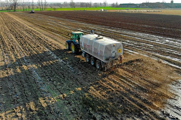 What does it mean to dream of compost? What does it mean to dream of compost?