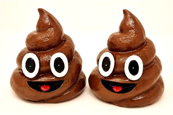 What does it mean to dream of feces all over the ground? What does it mean to dream of feces all over the ground?