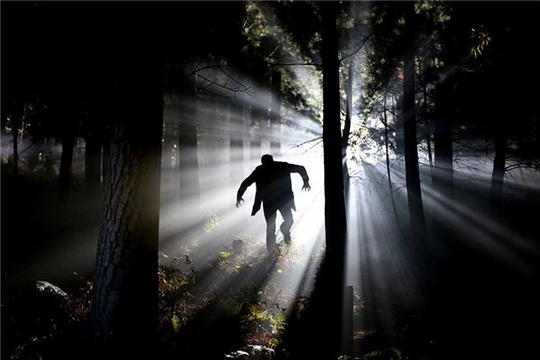 What does it mean to dream of a freak? What does it mean to dream of a freak?