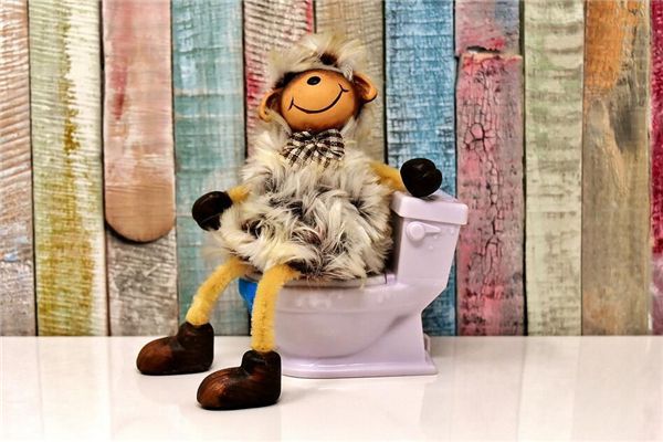I dreamed of pooping in my pants.