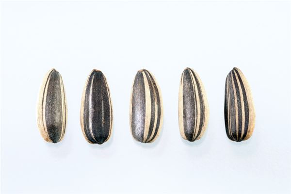 What does it mean to dream about eating sunflower seeds? What does it mean to dream about eating sunflower seeds?