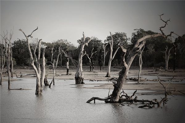 Dreaming of floods Dreaming of floods