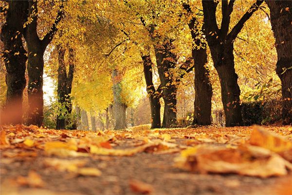 What does it mean to dream about the past?