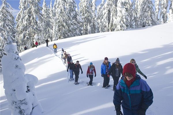 What does it mean to dream of slipping and falling in the snow? What does it mean to dream of slipping and falling in the snow?