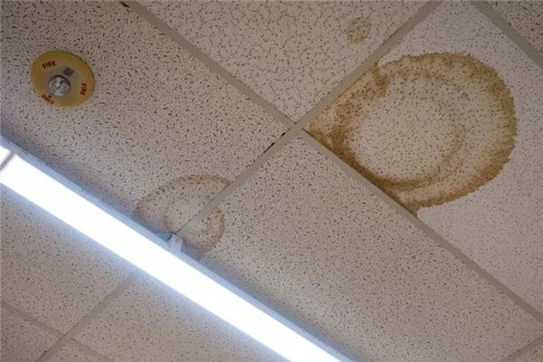 What does it mean to dream of a leaky toilet? What does it mean to dream of a leaky toilet?