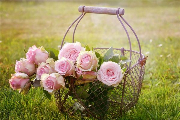 What does it mean to dream of flowers being stolen? What does it mean to dream of flowers being stolen?