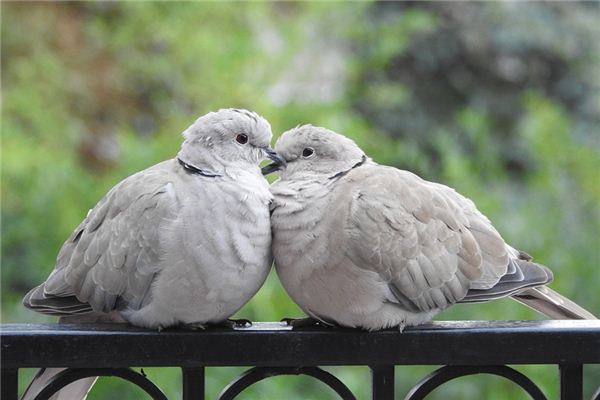What does it mean to dream of flattering someone? What does it mean to dream of flattering someone?