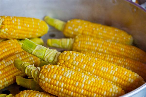 What does it mean to dream of eating boiled corn? What does it mean to dream of eating boiled corn?