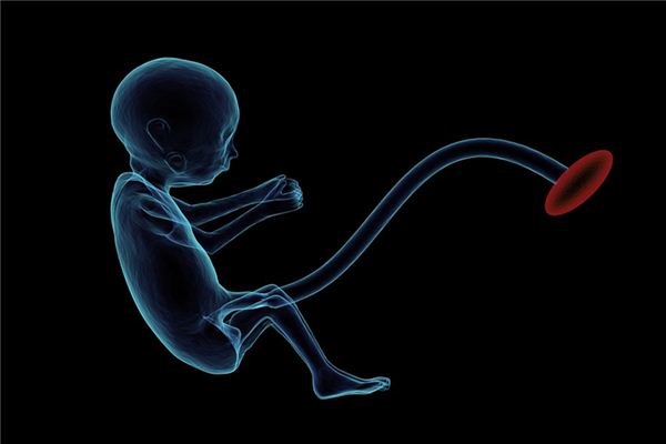 What does it mean to dream of fetal movement? What does it mean to dream of fetal movement?