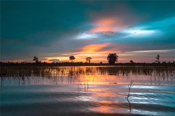 What does it mean to dream of fields being flooded? What does it mean to dream of fields being flooded?