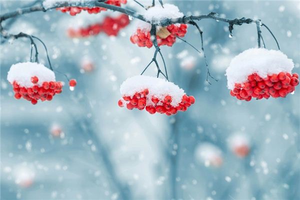 What does it mean to dream of snow? What does it mean to dream of snow?