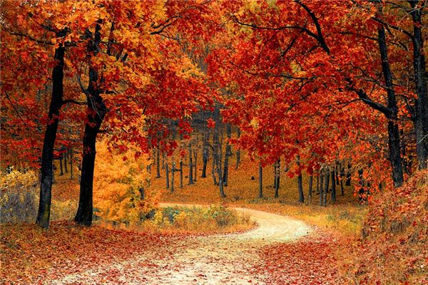 What does it mean to dream of autumn? What does it mean to dream of autumn?